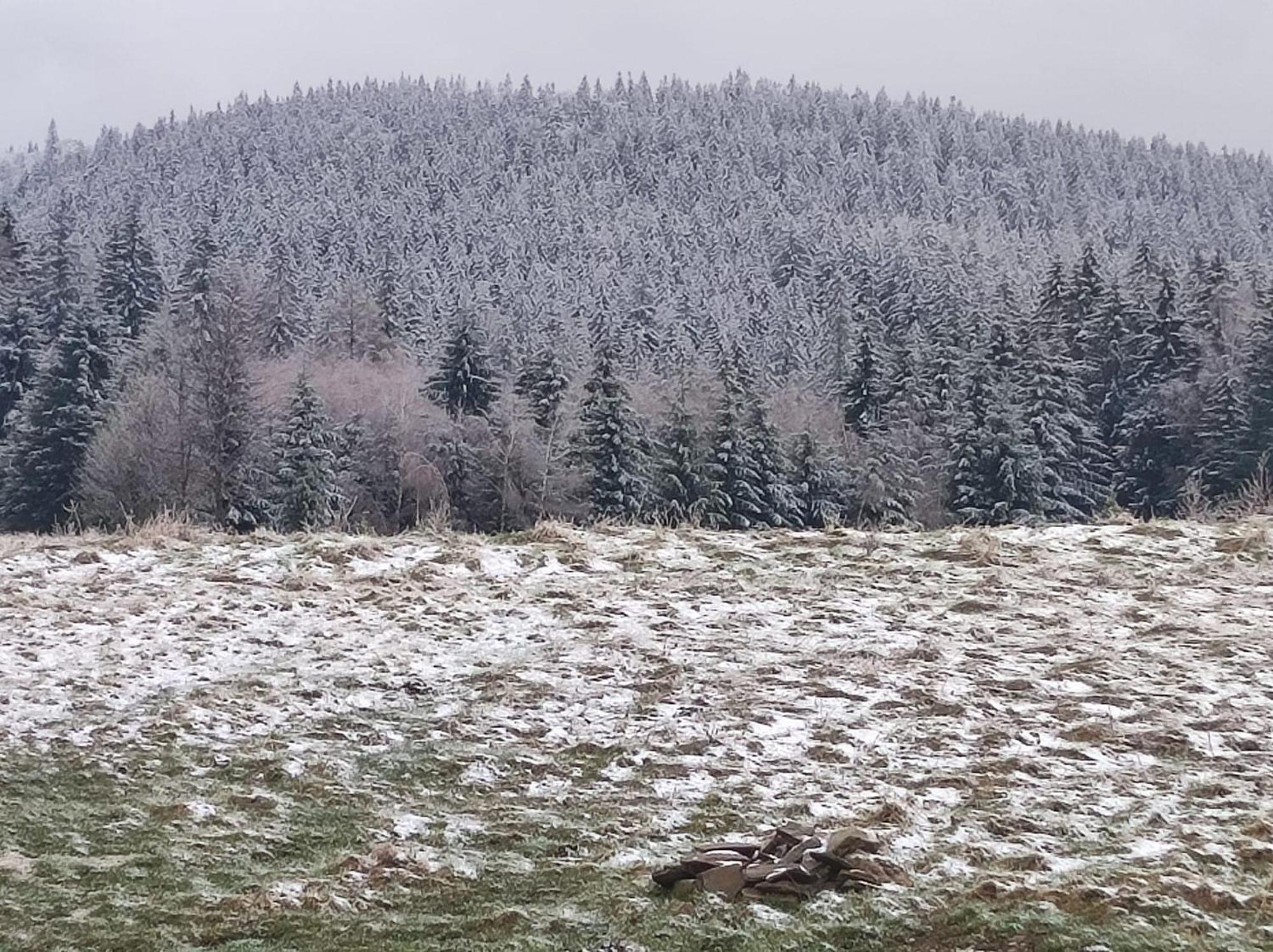 Drewniany Domek Daria I Tomek 2 Domki Na 8 Osob Stronie Śląskie Buitenkant foto