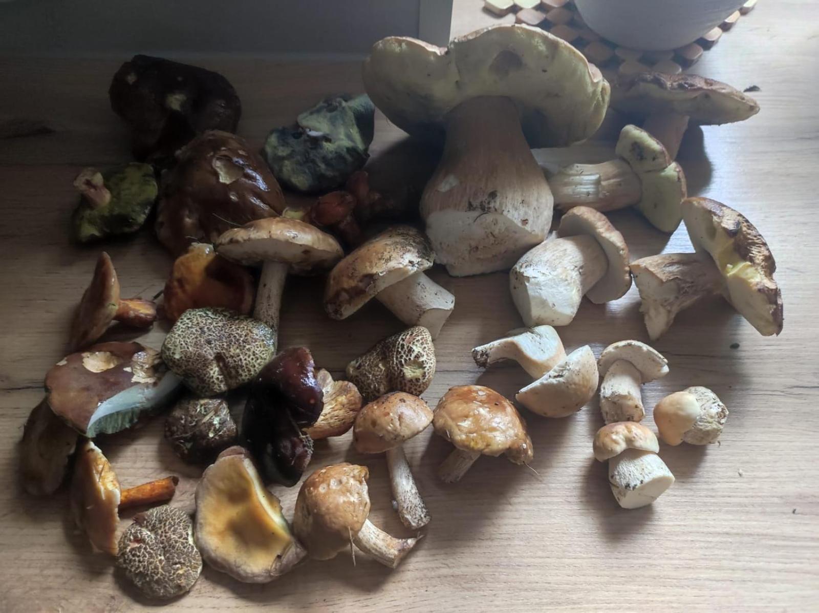 Drewniany Domek Daria I Tomek 2 Domki Na 8 Osob Stronie Śląskie Buitenkant foto